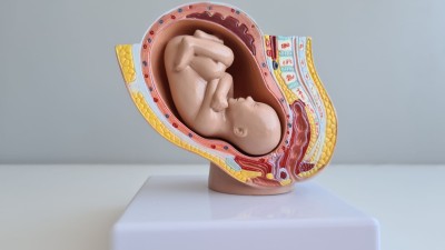 секс играчки бременност