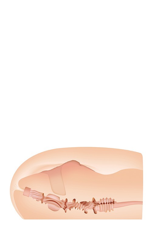 ZERO TOLERANCE SASHA GREY STROKER ПЛЪТСКИ