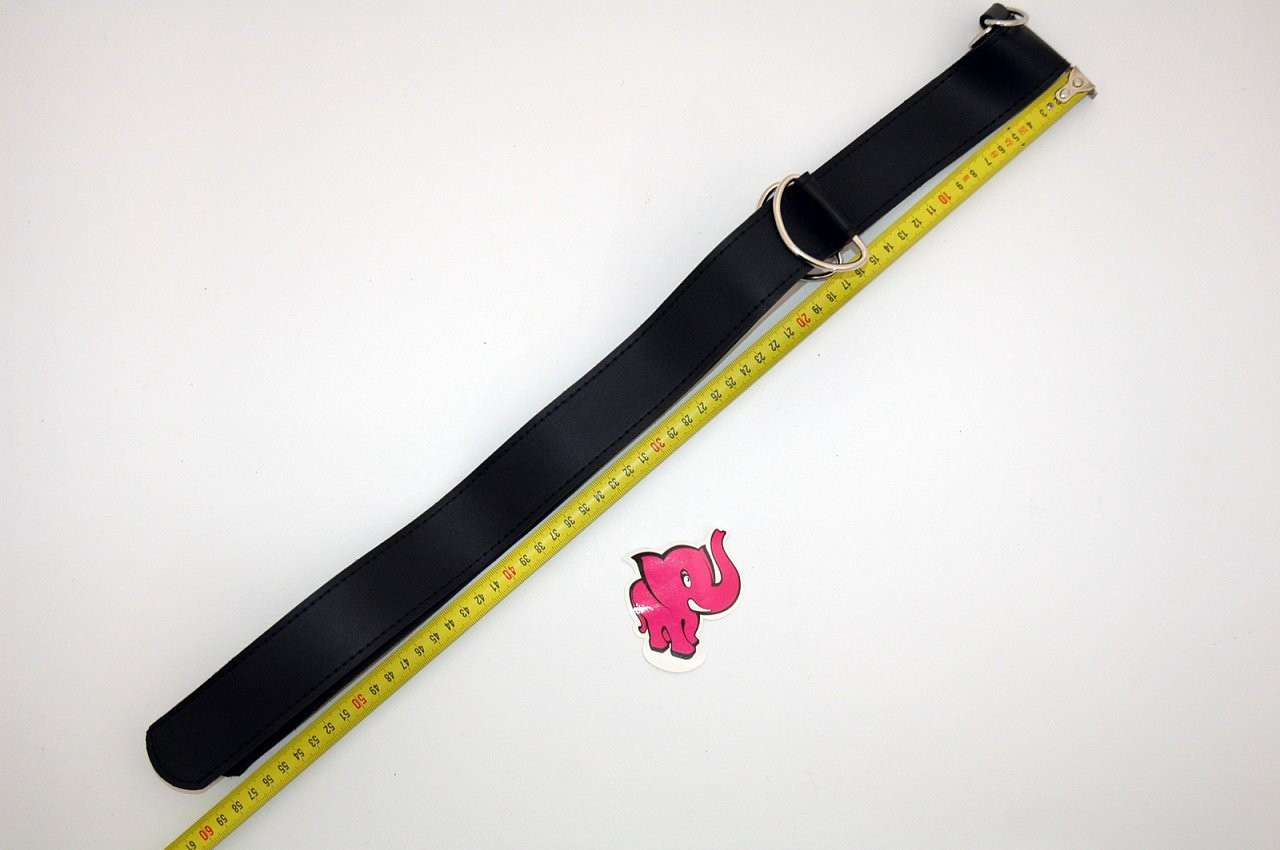 Колан за кралски петел, измервания