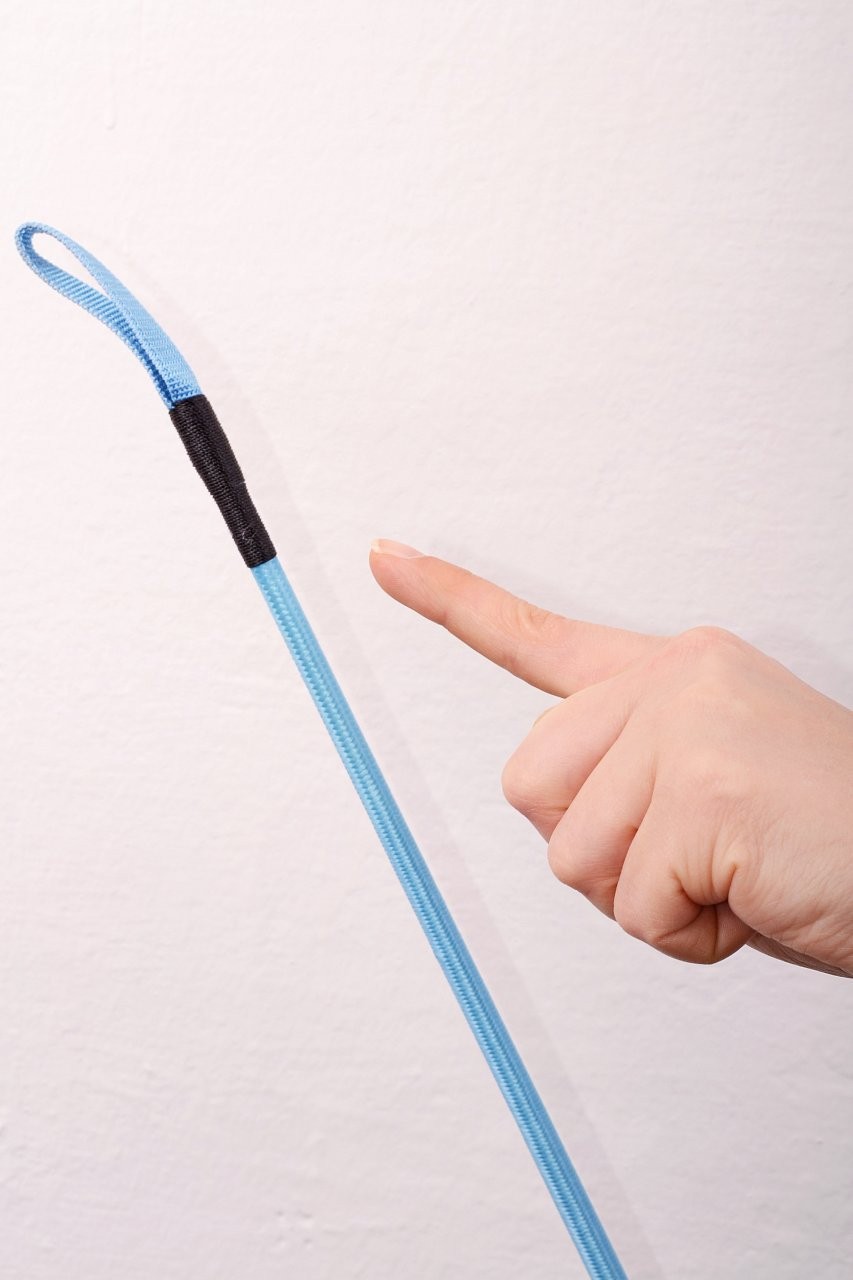 Син камшик 60 см