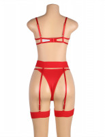 Комплект жартиери Red Desire